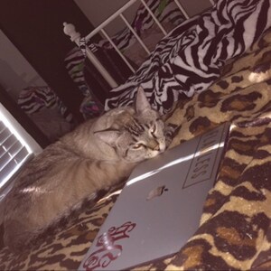 alexis a ajouté une photo de son achat