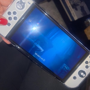 Taylor added a photo of their purchase