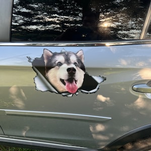 Dave added a photo of their purchase