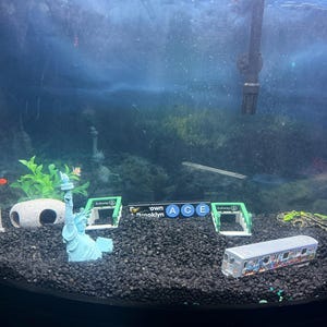 Ruperto added a photo of their purchase