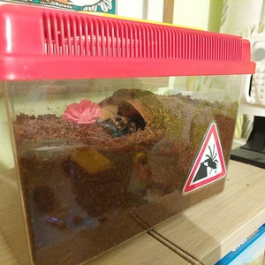 Matthew added a photo of their purchase