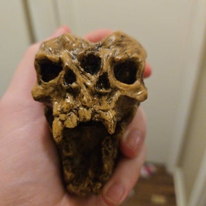 Drembok Authentic Aztec Death Whistle - 125 dB Loud Screaming Skull - Premium Durable Resin with Stone Finish - Ancient Mayan Historical Replica, Halloween Prop & Silbato de la Muerte Decor