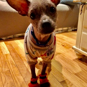 Xtina added a photo of their purchase