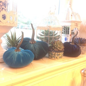 Marianne added a photo of their purchase