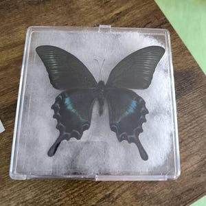 Karen heeft een foto van de aankoop toegevoegd