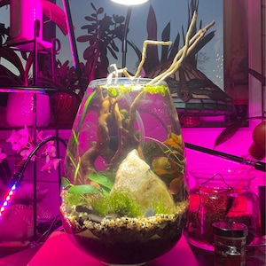 Amy added a photo of their purchase