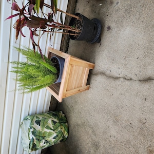 kasandra added a photo of their purchase
