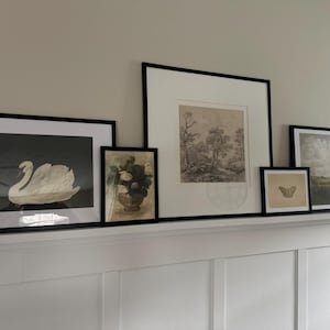 amy added a photo of their purchase