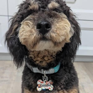 Bonnie ha añadido una foto de su compra