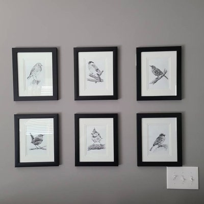 PRINTABLE Garden Birds Print Set of 12, Birds Pencil Drawing, Wall Art ...