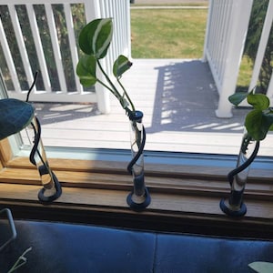 RaeAnn added a photo of their purchase