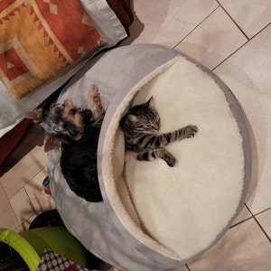Adeline added a photo of their purchase