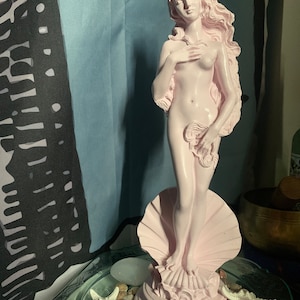 Priscilla added a photo of their purchase