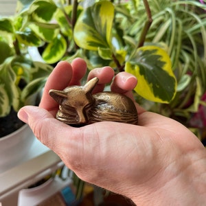 May added a photo of their purchase