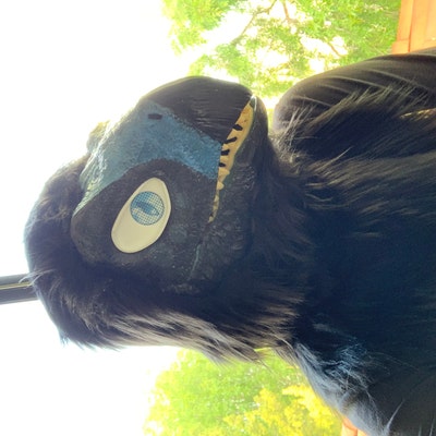 Raptor Mask Hood and Neck Pattern PDF DOWNLOAD - Etsy