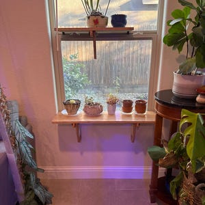 Laura added a photo of their purchase