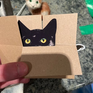 Mark a ajouté une photo de son achat