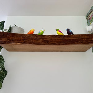 Phaedra added a photo of their purchase