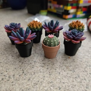 Olivea added a photo of their purchase