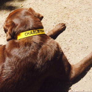 Sara added a photo of their purchase