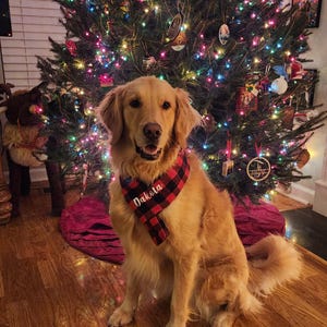 Maureen added a photo of their purchase