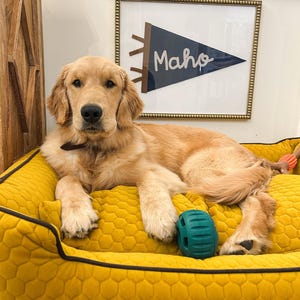 Sarah added a photo of their purchase