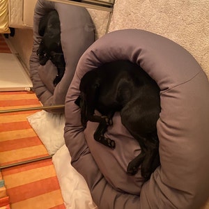 Zac added a photo of their purchase