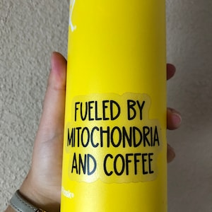 Achi added a photo of their purchase