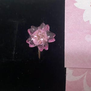 Rakshit added a photo of their purchase