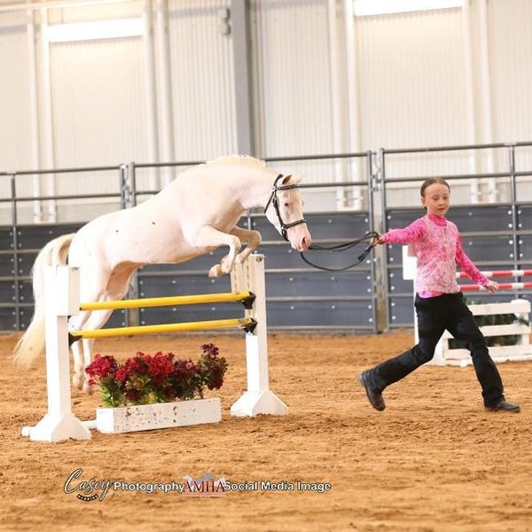 DOUDOUNE AVEC MANCHES ET CAPUCHE  Enfant  - Plaisir Equitation Ecuries Yann Catier Noir K6112