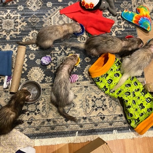 Sara ha añadido una foto de su compra