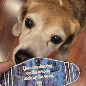 Lisa added a photo of their purchase