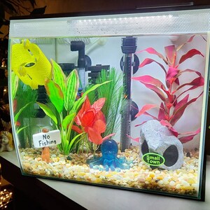 Lily added a photo of their purchase