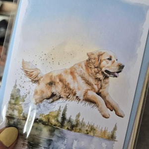 Emer a ajouté une photo de son achat