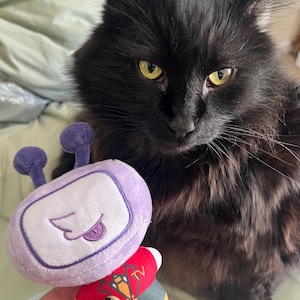 Val ha añadido una foto de su compra
