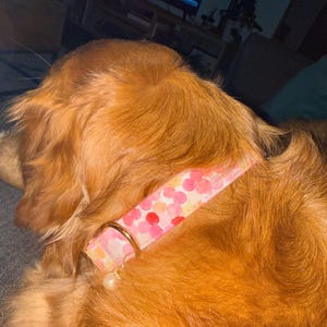 Kellie added a photo of their purchase