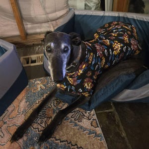 Jill ha añadido una foto de su compra
