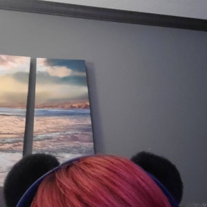 Karrigan ha aggiunto una foto del proprio acquisto