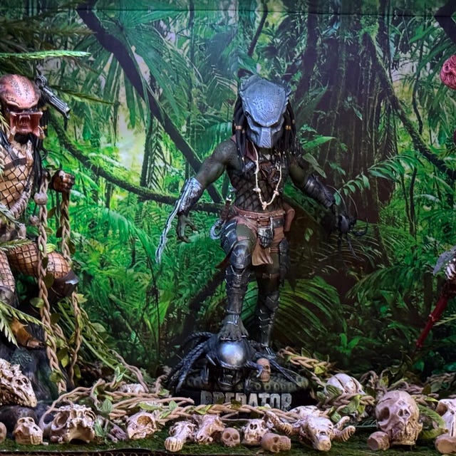 1/6th Scale PREDATOR Jungle Backdrop Ikea Detolf 15x15 Diorama