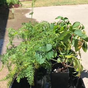 ROG777 : Situs Login Slot 777 Paling Gampang x5000 Hari Ini