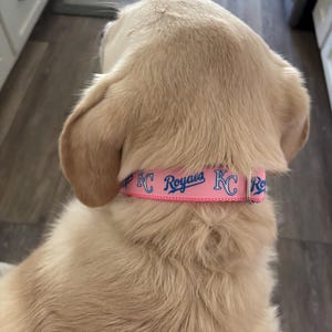 Cheryl added a photo of their purchase