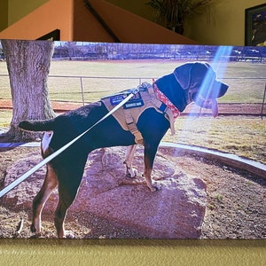 Doug added a photo of their purchase