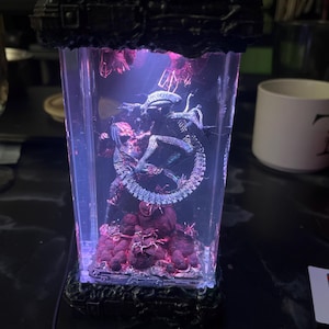 Robynne ha añadido una foto de su compra