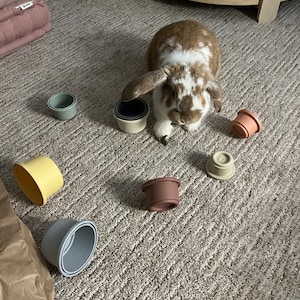 Aili added a photo of their purchase