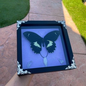 Mia added a photo of their purchase