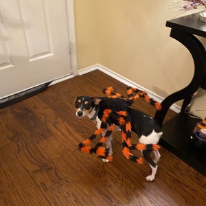Cynthia added a photo of their purchase