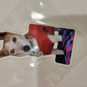Molly hat ein Foto des gekauften Artikels hinzugefügt
