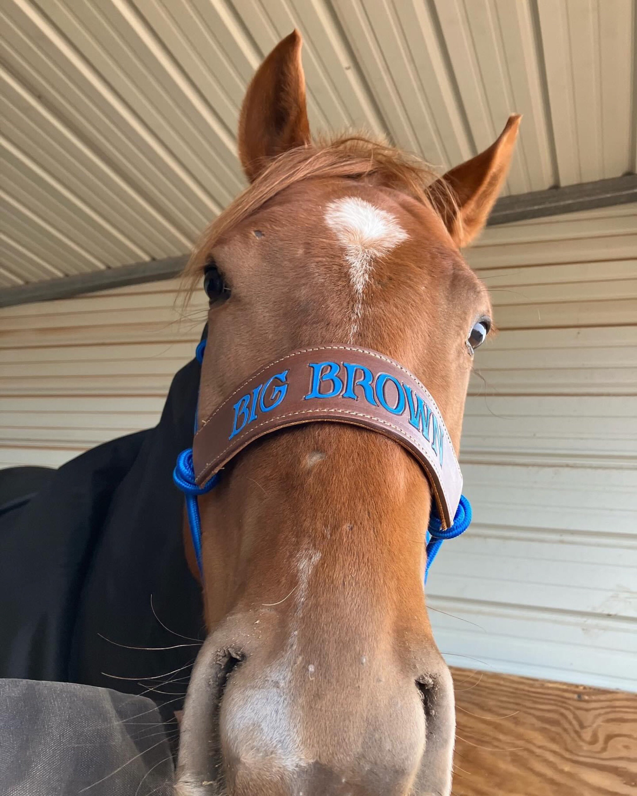 Skinny Bronc Poly Rope Halter