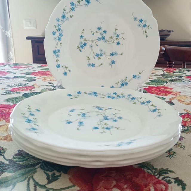 6 ASSIETTE CREUSE-VINTAGE-MYOSOTIS VERONICA