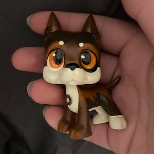 Andy added a photo of their purchase